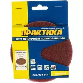 Войлочный круг ПРАКТИКА Velcro 038-616