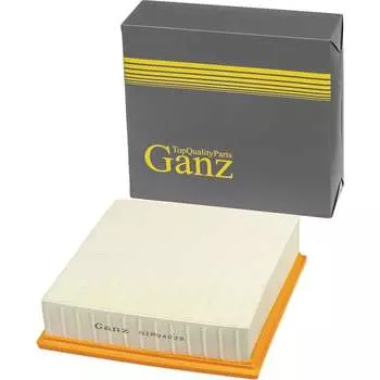 Воздушный фильтр AD A100/200, VW, Volvo Ganz GIR04029