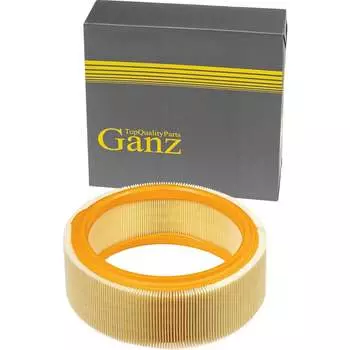 Воздушный фильтр для RENAULT MEGANE/ KANGOO/ LOGAN Ganz GIR04014