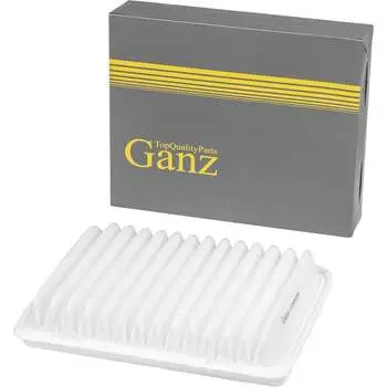 Воздушный фильтр MITSUBISHI GRANDIS 2.4 Ganz GIR04020