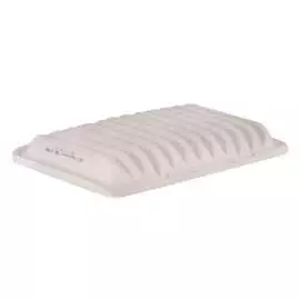 Воздушный фильтр SCT