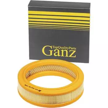Воздушный фильтр ВАЗ 2101-09 Ganz GRR04001