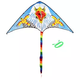 Воздушный змей BOYSCOUT 61483