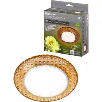 Встраиваемый светильник TDM ELECTRIC СВ 03-17 SQ0359-0154