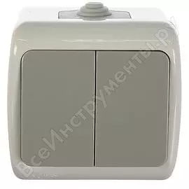 Двухклавишный выключатель EKF Мурманск EFV10-023-30-54