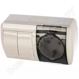 Двухклавишный выключатель и розетка Lezard