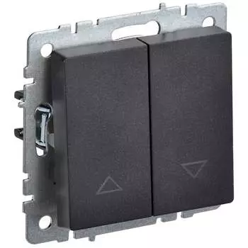 Выключатель IEK Brite вс10-1-5-брч BR-V15-0-10-K02