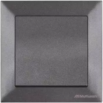 Выключатель Mutlusan Candela 21254010295