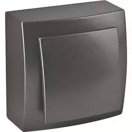 Выключатель Nilson Themis metallic 26161001