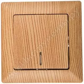 Выключатель Intro