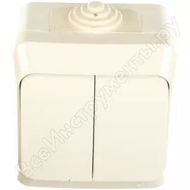 Двухклавишный выключатель Systeme Electric Этюд BA10-042B