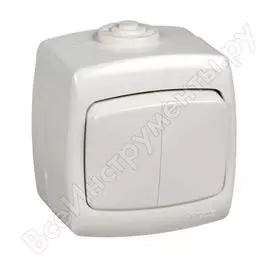 Двухклавишный выключатель Schneider Electric