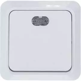 Выключатель TDM ELECTRIC Ладога SQ1801-0009