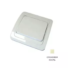 Выключатель TDM ELECTRIC Валдай SQ1804-0101