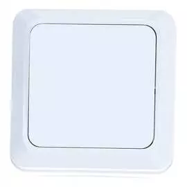 Выключатель UNIVersal Олимп О0021