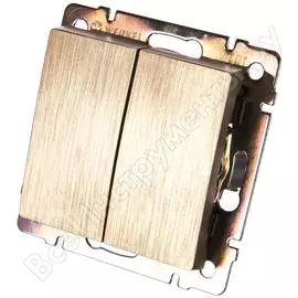 Двухклавишный выключатель WERKEL WL10-SW-2G a035612