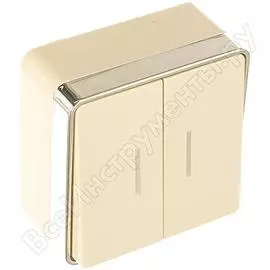 Двухклавишный выключатель WERKEL