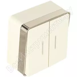 Двухклавишный выключатель WERKEL