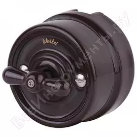 Двухклавишный выключатель WERKEL WL18-01-05 a036802