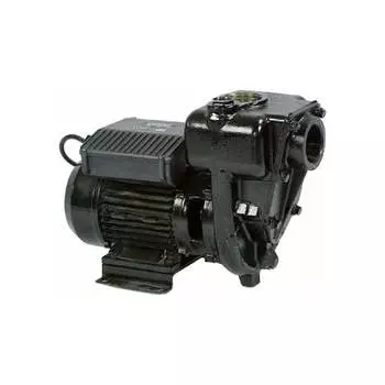 Высокопроизводительный насос для ДТ PIUSI