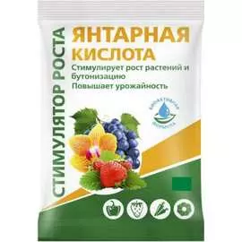 Янтарная кислота БиоМастер