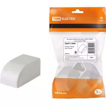 Заглушка кабельной трассы TDM ELECTRIC КМЗ 100x60 SQ0411-0088