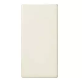 Заглушка Simon