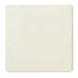 Заглушка Simon