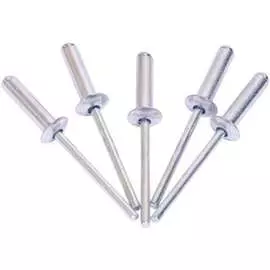 Заклепки Автоdело 40481 10069