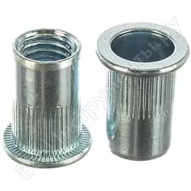 Резьбовые заклепки ЗУБР ПРОФИ 31317-10