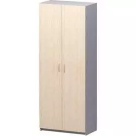Закрытый шкаф Комфорт-Питер Бюджет 2554 2554