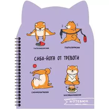 Записная книжка Феникс +