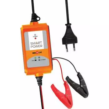 Зарядное устройство для автомобилей BERKUT SP-2N