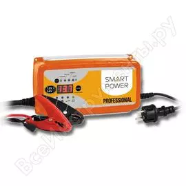 Зарядное устройство для автомобилей berkut sp-25n