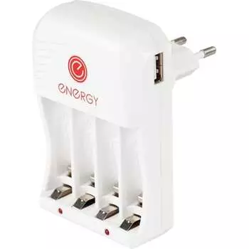 Зарядное устройство ENERGY 105500