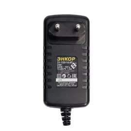 Зарядное устройство Энкор