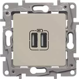 Зарядное устройство Legrand Etika 672394