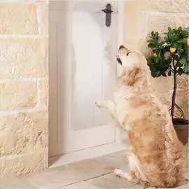 Защитная накладка на дверь Домовой Прошка