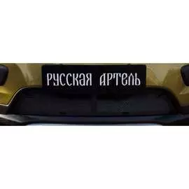 Защитная сетка для Renault Sandero Stepway 2014-2017 г.в. (II дорест.) Русская Артель
