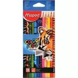 Заточенные цветные карандаши Maped