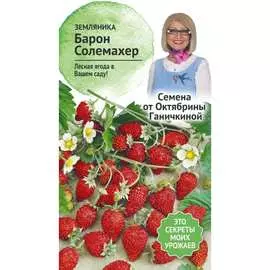 Земляника семена ОКТЯБРИНА ГАНИЧКИНА Барон Солемахер 119097