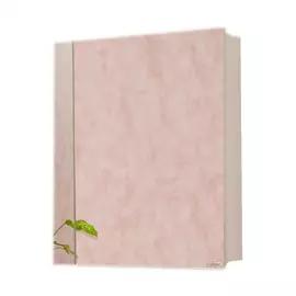 Зеркало-шкаф Sanflor Анкона 70R С0000002057