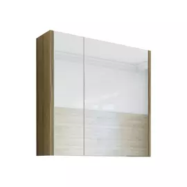 Зеркало-шкаф Sanflor Ларго 70R Н0000000020