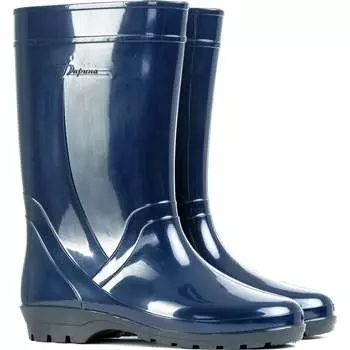 Женские сапоги Дарина Д18 4680019781471