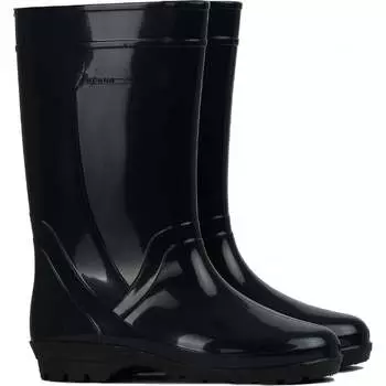 Женские сапоги Дарина Д18 4680019781402