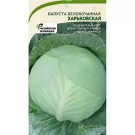 Зимняя белокочанная капуста капуста Садовита Харьковская 00183533