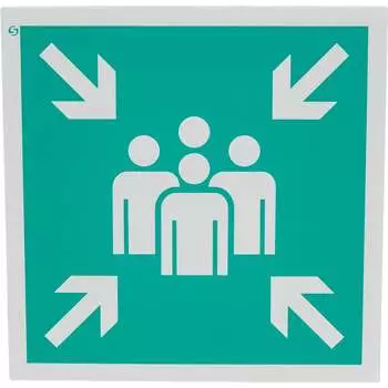 Знак Стандарт Знак Е21 00-00010285