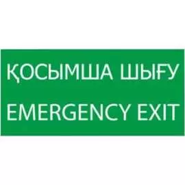 Знак TDM ELECTRIC ЗАПАСНЫЙ ВЫХОД, SQ0817-0078