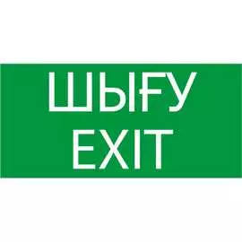 Знак TDM ELECTRIC ВЫХОД SQ0817-0074