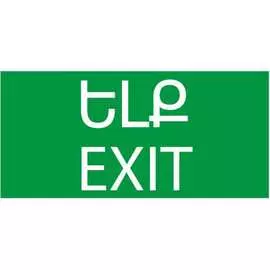 Знак TDM ELECTRIC ВЫХОД SQ0817-0071